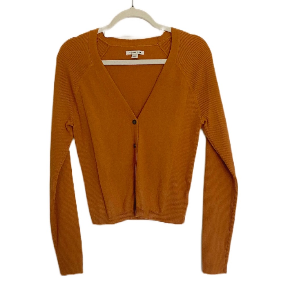 NWOT Large Cropped American Eagle Cardigan